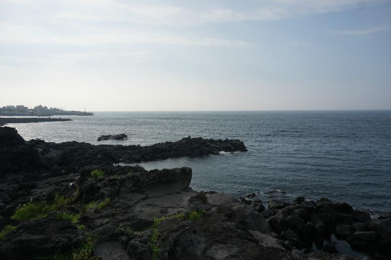 孙鸿宇（高级小记者）